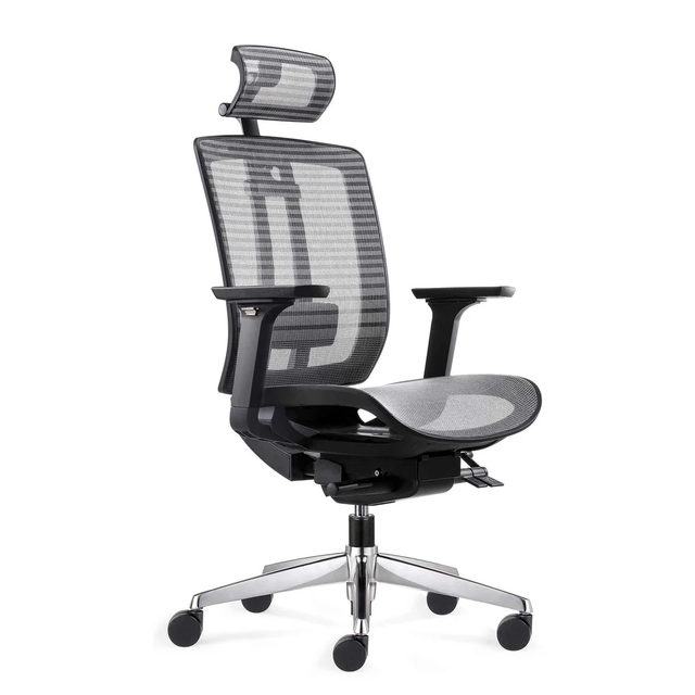 ALFA's Lumbar Support Office Chair: Redefining Comfort in the Modern Workplace