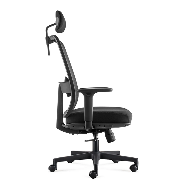 Discover the Ultimate Solution for Back Pain: The ALFA Ergonomic Office Chair