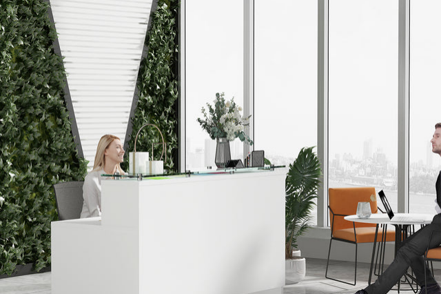 How to Use a Front Reception Desk to Highlight a Professional Image?