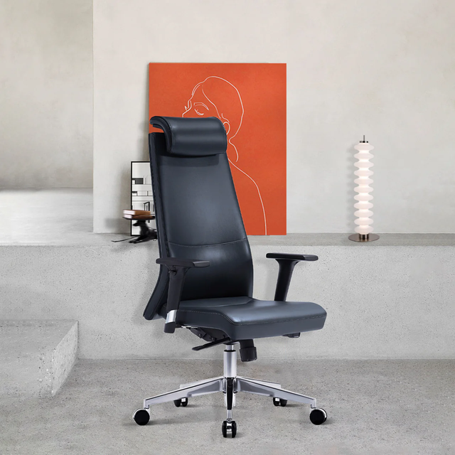 Elevate Your Workspace with ALFA's Best Lumbar Support Office Chair