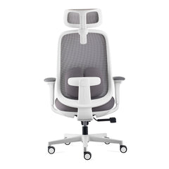 Byron Ergonomic Mesh Office Chair with Lumbar Support, Adjustable Headrest, Armrest, Seat Depth and Tilt