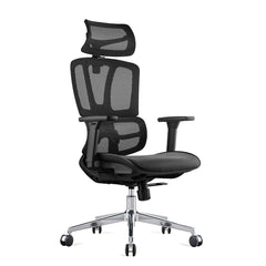 ALFA Office Chair Carwyn Ergonomic Task Chair Comfortable Desk Chair for Back Pain, Height Adjustable Armrests, Black