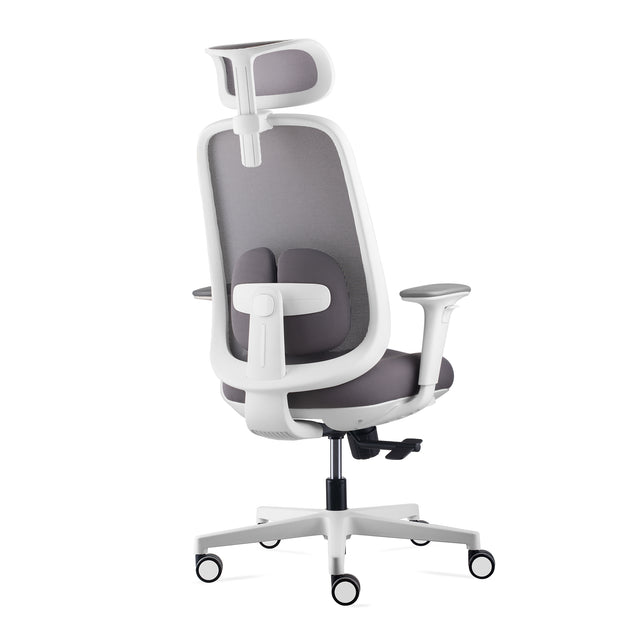 Byron Ergonomic Mesh Office Chair with Lumbar Support, Adjustable Headrest, Armrest, Seat Depth and Tilt