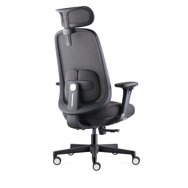 Byron Ergonomic Mesh Office Chair with Lumbar Support, Adjustable Headrest, Armrest, Seat Depth and Tilt