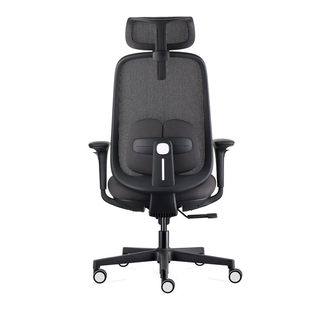 Byron Ergonomic Mesh Office Chair with Lumbar Support, Adjustable Headrest, Armrest, Seat Depth and Tilt